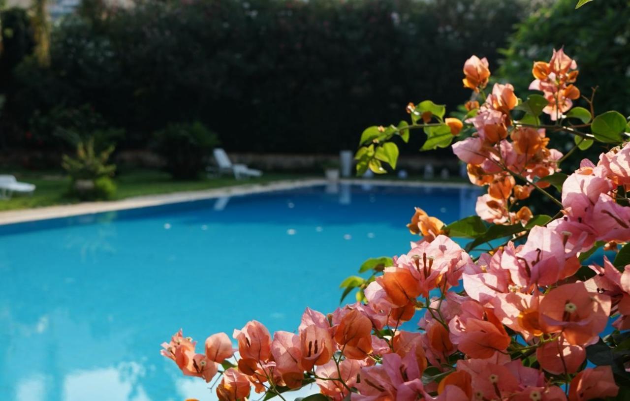 Villa Megna - Green Paradise B&B ปาแลร์โม ภายนอก รูปภาพ