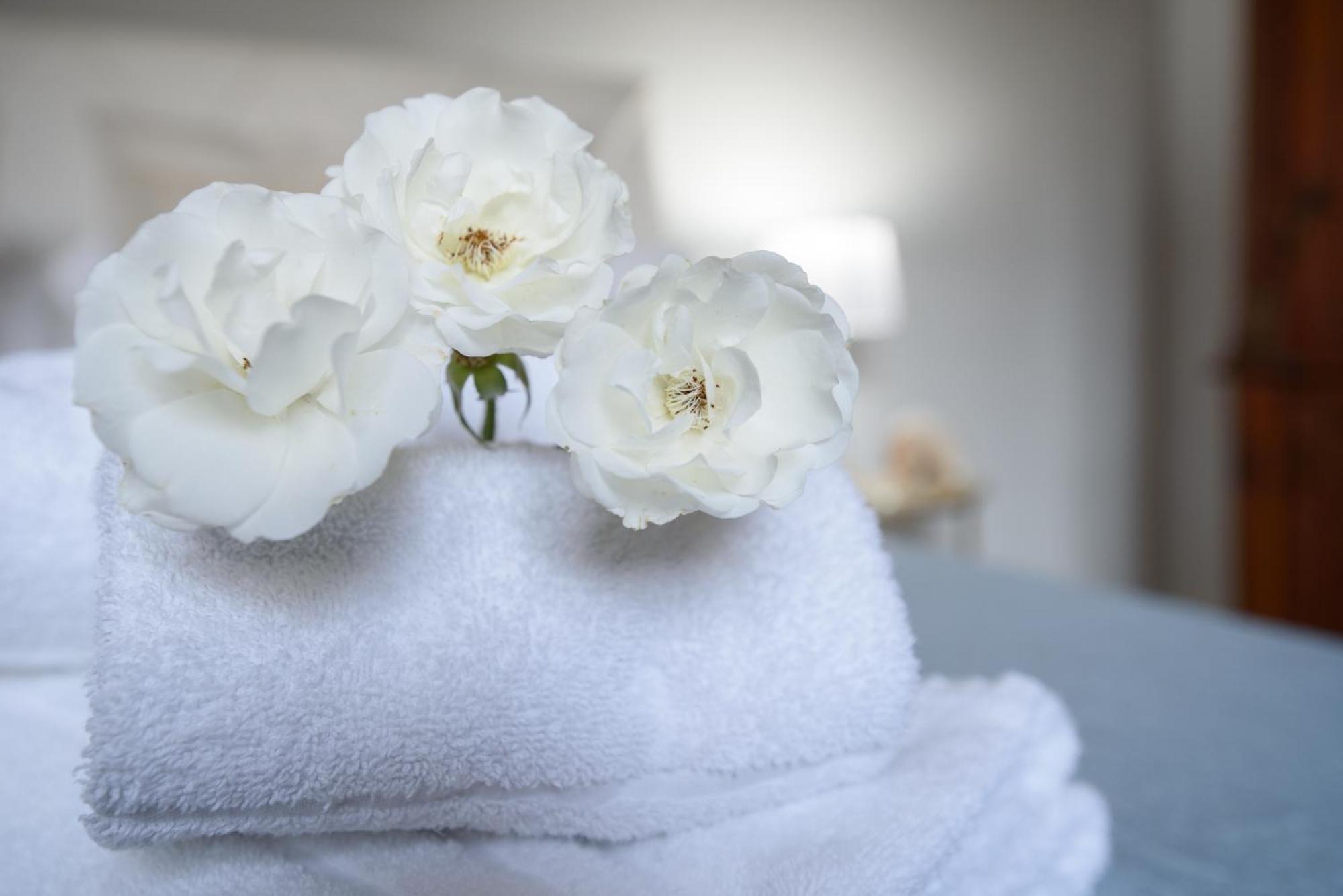 Villa Megna - Green Paradise B&B ปาแลร์โม ภายนอก รูปภาพ